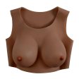 (image for) Gender-X Undergarments Plate D cup Dark