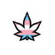 (image for) Enamel Pin: Trans Weed Leaf
