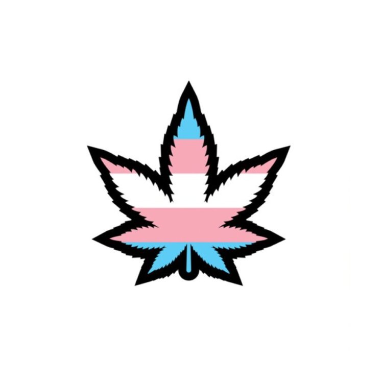 (image for) Enamel Pin: Trans Weed Leaf