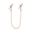 (image for) Bound Nipple Clamps - DC1 - R.Gold Beads