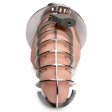 (image for) Stainless Spiked Chastity Cage *bulk pkg