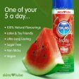 (image for) Skins Watermelon Water Based Lubricant 4.4 fl oz