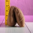 (image for) Gender-X Uncircumcised Packer - Dark