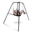 (image for) Extreme Sling and Swing Stand