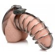 (image for) Stainless Spiked Chastity Cage *bulk pkg