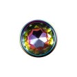 (image for) Evolved Rainbow Metal Plug - Large