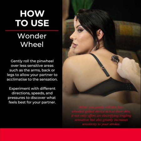 (image for) SEI MIO Wonder Wheel 5 Row Sensory Wheel