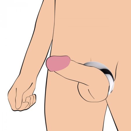 (image for) 2.25" Stainless Steel Erection Enhancer