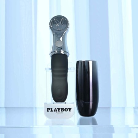 (image for) Playboy Bon Voyage