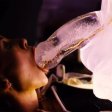 (image for) Huge Penis Ice Luge - party drinking!