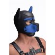 (image for) Spike Neoprene Puppy Hood - Blue