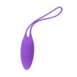 (image for) Playboy Put in Work Kegel Set