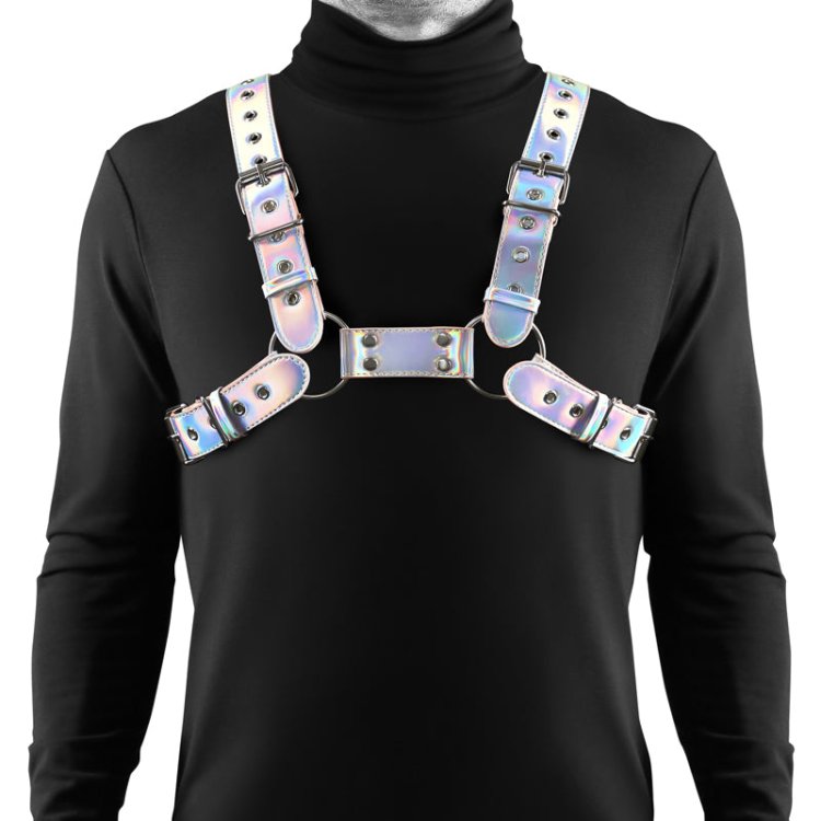 (image for) Cosmo Harness - Rogue - S/M