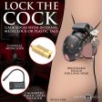 (image for) Lock Down Chastity Cage