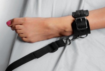 (image for) Strict Bed Restraint Kit