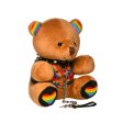 (image for) Pride Teddy Bear Plush