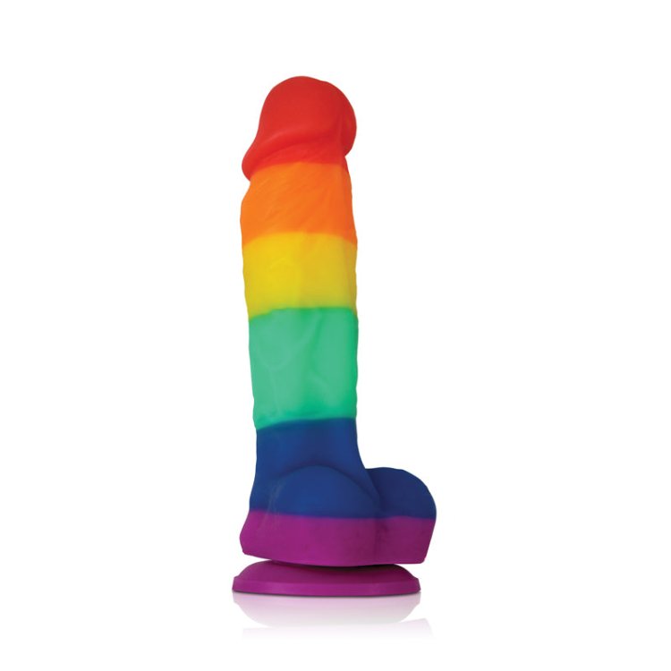 (image for) Colours Pride Edition 5\"