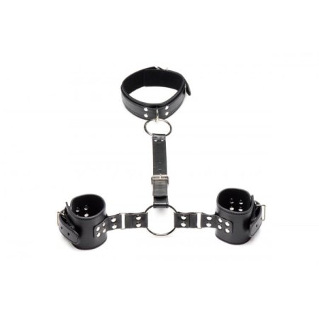 (image for) Neck to Wrist Restraints