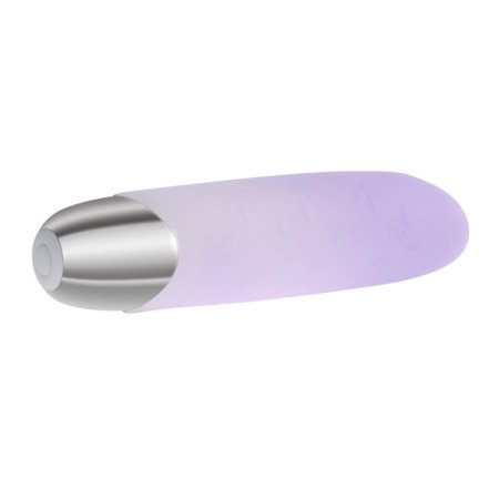 (image for) Playboy Bunny Bunch thick bullet