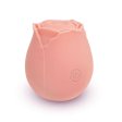 (image for) TESTER - Skins Rose Buddies - The Rose Purrz