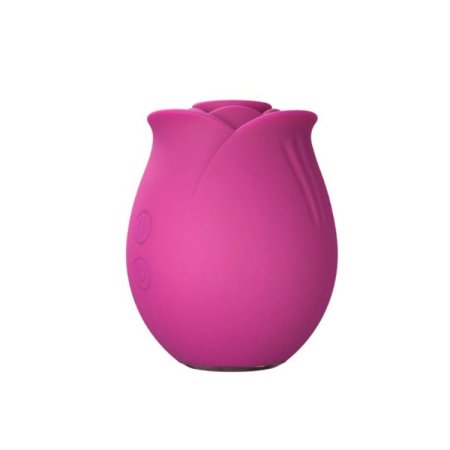 (image for) Blush Collection The Original Blush Rose