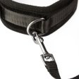 (image for) SEI MIO Take the Lead Padded Collar/Leas