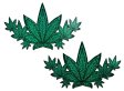 (image for) Green Glitter Pot Leaves Breast Demi*