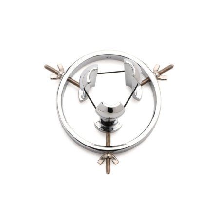 (image for) Forced Spread Stainless Anal Explorer