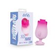 (image for) Aria - Tulip Trance - Pink