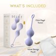 (image for) Delice - Chéri - Kegel Trainer - Purple