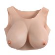 (image for) Gender-X Undergarment Plate E cup Light