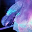 (image for) Huge Penis Ice Luge - party drinking!