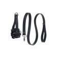 (image for) Ball Stretcher With Leash