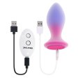 (image for) TESTER - Evolved Paradise Plug w R/C