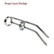 (image for) Stainless Steel Cat Claw