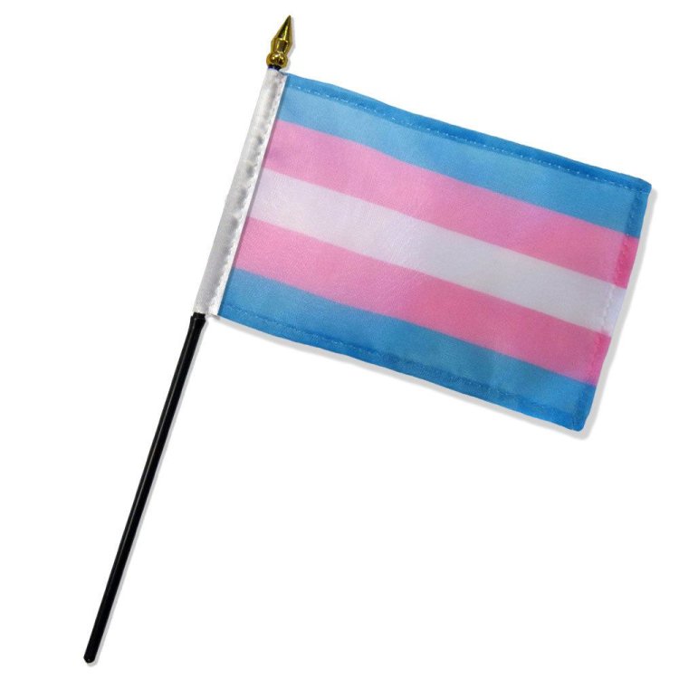 (image for) Transgender 4\"x 6\" Stick Flag
