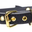 (image for) Golden Kitty Cat Bell Collar -Black/Gold