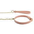 (image for) Temptasia Ardor - Silicone Collar & Leash - Pink