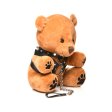 (image for) Pup Bear 9" Teddy