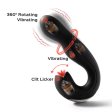 (image for) Joi Pro Rotating Flicking R/C GSpot/Clit