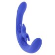 (image for) TESTER - Evolved - Lovebirds remote control
