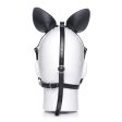 (image for) Dark Horse Pony Head Harness with Silicone Bit