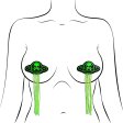 (image for) Tassel UFO Alien GlowInDark Pasties *