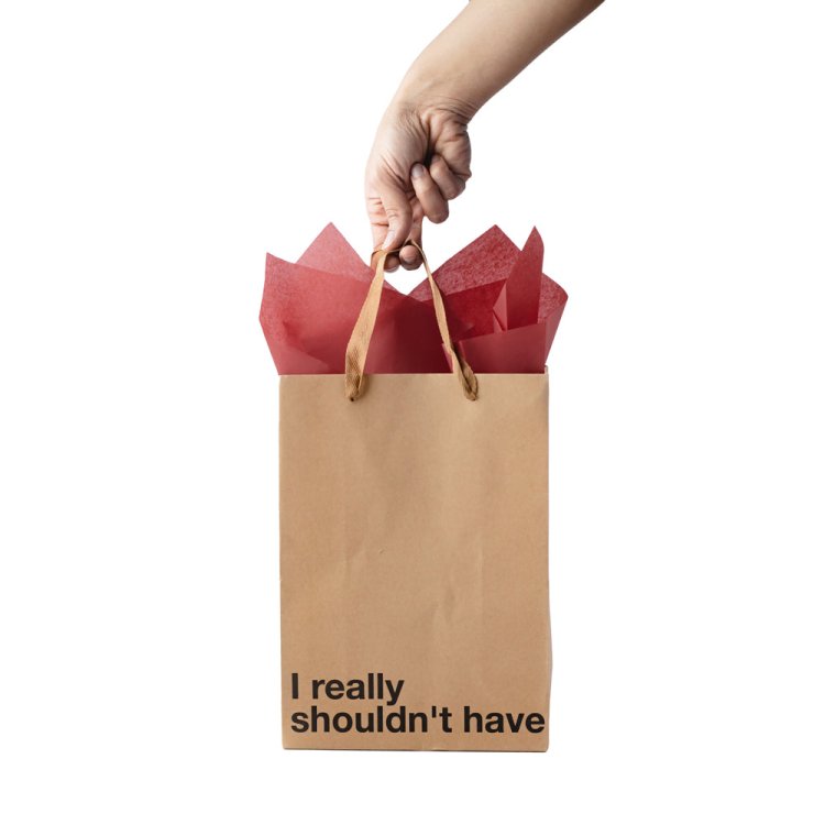 (image for) I Really Shouldn\'t Have - Gift Bags 3pk