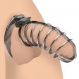 (image for) Stainless Spiked Chastity Cage *bulk pkg