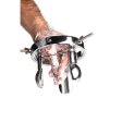 (image for) Forced Spread Stainless Anal Explorer