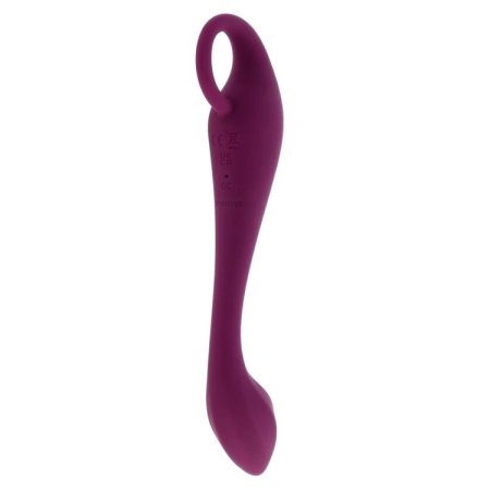 (image for) TESTER - Evolved Lochness G