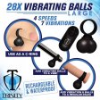 (image for) 28X Vibrating Balls - Large *