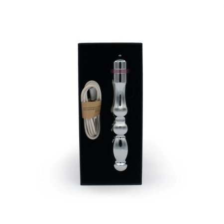(image for) Hidden Treasure Metal Vibrator *