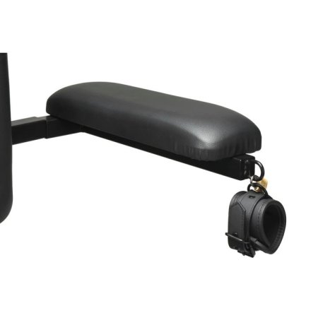 (image for) Enforcer Chair with Sex Machine